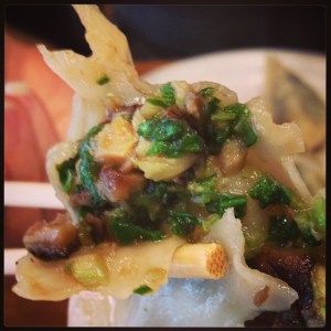 Vegetable Mushroom Dumplings