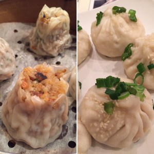 Shanghai Shu Mai and Shanghai Pan-Fried Pork Buns