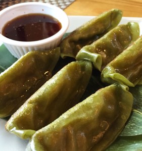 Pan fried vegetable dumplings