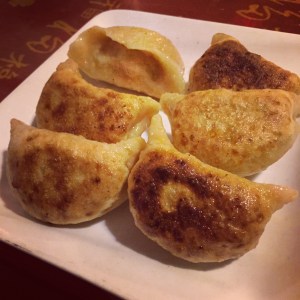 Pan Fried Vegetable Dumplings