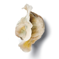 tianjin_dumpling
